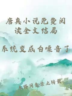 唐真小说免费阅读全文结局